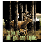 13385-A.png (50214 bytes)