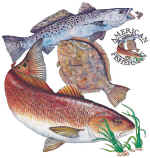 14025_Inshore Slam.jpg (69625 bytes)