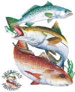 14027_Inshore Slam.jpg (60448 bytes)