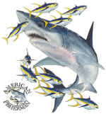 14091_Shark.jpg (55269 bytes)