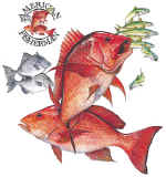 14092_Red Snapper.jpg (61307 bytes)
