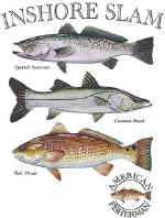 14105_inshore slam.jpg (45462 bytes)