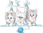 36601-35301 Kitten Tails.jpg (16181 bytes)