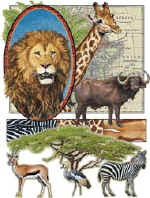 37233 Animal Collage.jpg (66127 bytes)