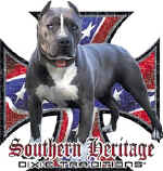 48096 Southern Heritage.jpg (70027 bytes)