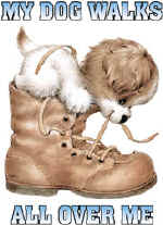 85763 Dog In Shoe.jpg (21381 bytes)