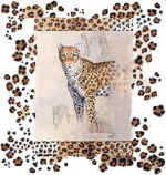87160 Leopard.jpg (34886 bytes)