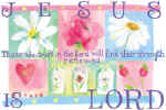 87292 Jesus is Lord.jpg (22823 bytes)