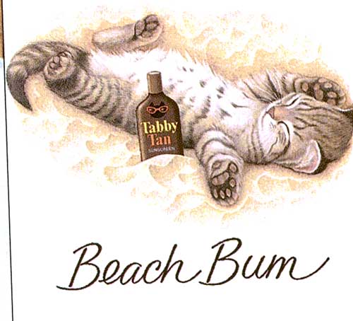 Image result for beach bums cat t shirt