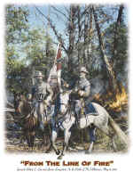 POS-245.jpg (183286 bytes)