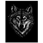 13702-A.png (38889 bytes)