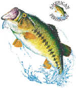 14022_Bass.jpg (63340 bytes)