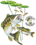 14073_Bass.jpg (49884 bytes)