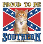 37166 Proud To Be Southern.jpg (72180 bytes)
