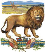 37228 Lion.jpg (65786 bytes)