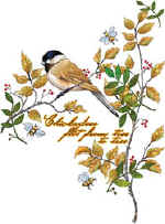 37268 Chickadees 72dpi.jpg (56712 bytes)