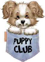 85765 Pup in pocket.jpg (18289 bytes)